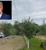 Nail Jusić