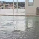 poplavljeno