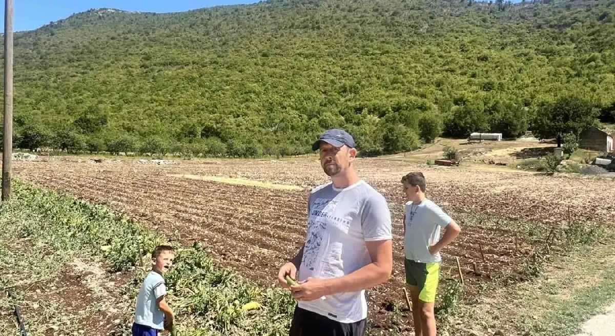 Gubici ogromni: Nevrijeme opustošilo baštu porodice Duka iz Berkovića