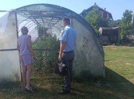 Komunalna policija