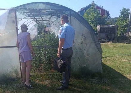 Komunalna policija
