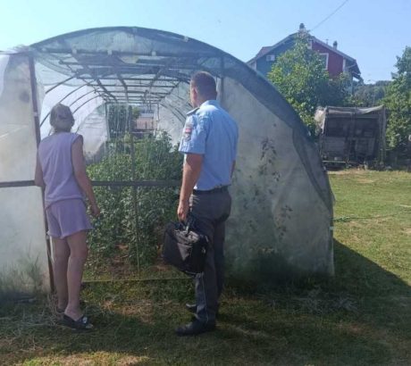 Komunalna policija