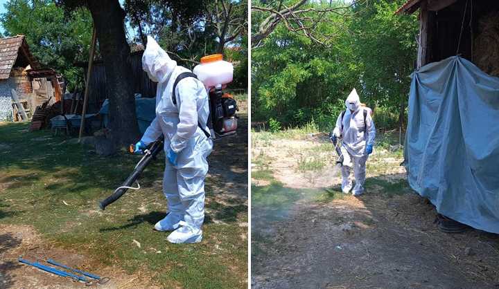 Apel uzgajivačima svinja povodom pojave afričke kuge svinja u Bijeljini (Foto)