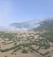 požar