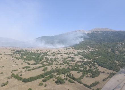 požar