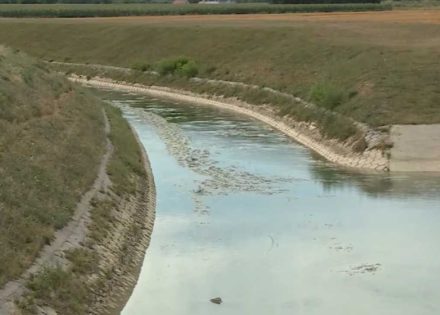 Semberija