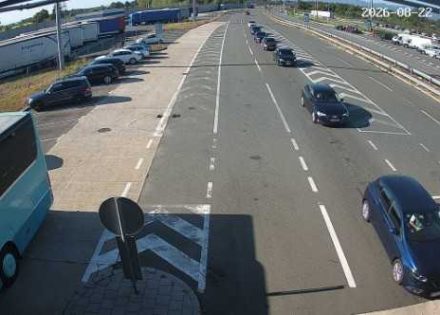 gužve