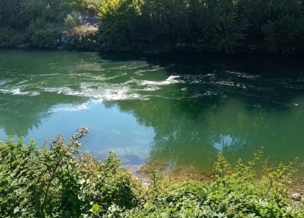 Vrbas